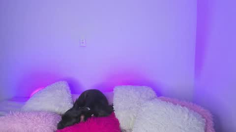    online show from 02/15/25, 04:36