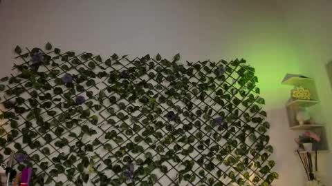 Snapshot of melody_cute10 chatting on 01/26/25, 04:41 melody_cute10 online show from 01/26/25, 04:41