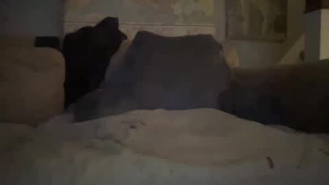 melt13 online show from 01/01/25, 02:41