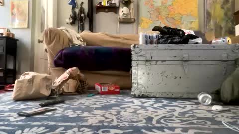 Snapshot of melt13 chatting on 04/21/26, 02:45 melt13 online show from 04/21/26, 02:45