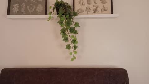  Memphis Williams  online show from 02/15/26, 12:03