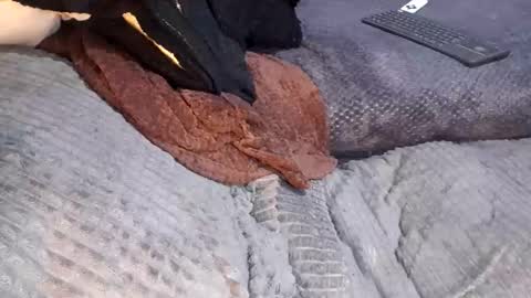 Snapshot of menyy666 chatting on 04/10/26, 05:12 Giorggio Fragacci online show from 04/10/26, 05:12