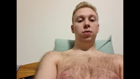 meow732 online show from 12/20/25, 09:55