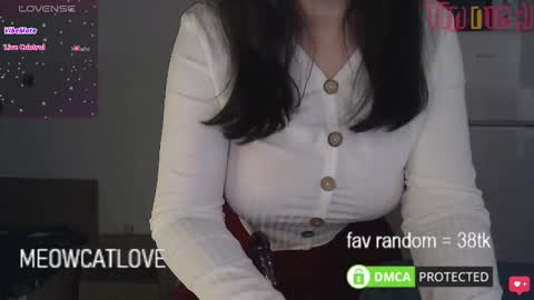 meowcatlove online show from 01/20/25, 09:01
