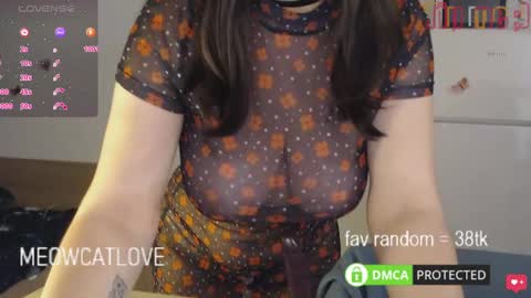 meowcatlove online show from 01/23/25, 09:18