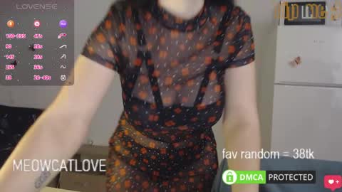 meowcatlove online show from 01/29/25, 08:14