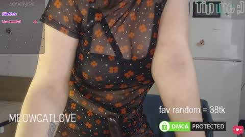 meowcatlove online show from 03/04/25, 07:43