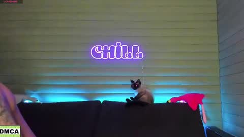  NIKKY  STIVE     Every day from 1000  to 200  EST time. online show from 01/11/25, 03:31