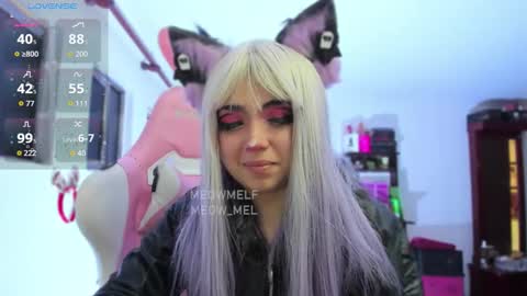 meowmelf online show from 01/13/26, 07:41