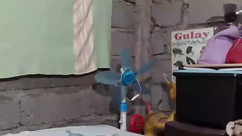 Snapshot of merietiny chatting on 01/22/25, 05:59 merietiny online show from 01/22/25, 05:59