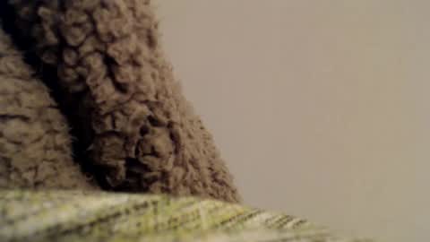 Mauro online show from 02/06/25, 11:37