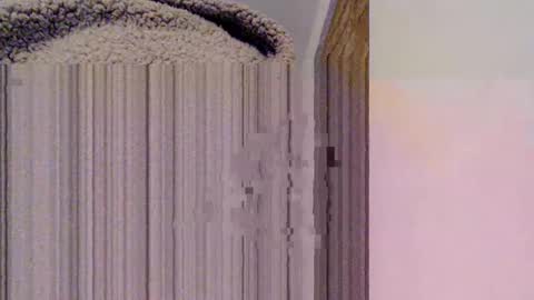 Mauro online show from 02/15/25, 10:52