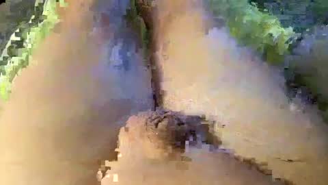 Wade online show from 01/08/25, 01:42