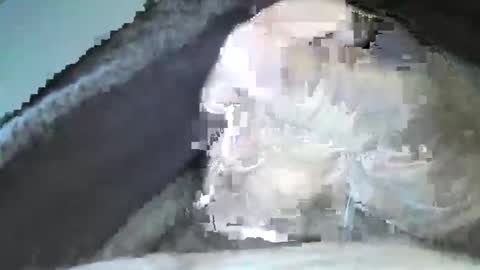 Snapshot of mexianthehawk chatting on 09/14/25, 10:09 mexianthehawk online show from 09/14/25, 10:09