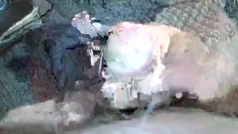 Snapshot of mexianthehawk chatting on 11/03/25, 11:22 mexianthehawk online show from 11/03/25, 11:22