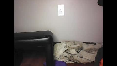 mi45419 online show from 11/02/25, 07:05