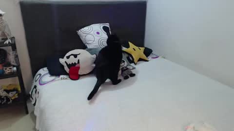 Snapshot of mia_adams_red chatting on 10/04/25, 12:52 mia online show from 10/04/25, 12:52