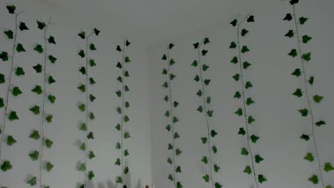 MIA online show from 01/18/26, 10:24