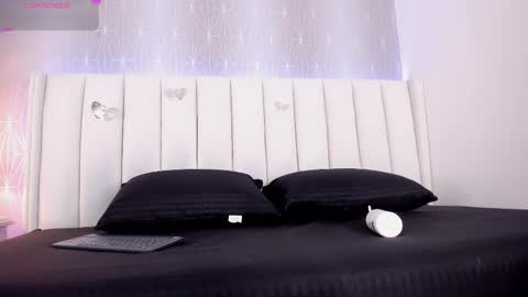    online show from 02/15/26, 08:16