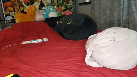 Mia Love online show from 01/10/25, 11:11