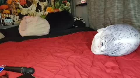 Mia Love online show from 02/08/25, 06:12