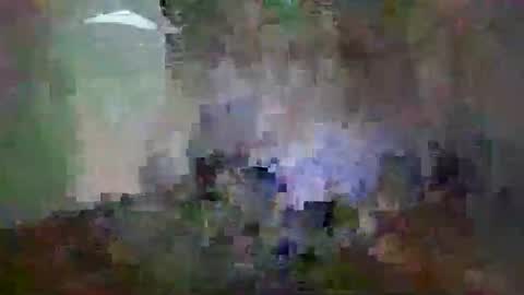 Snapshot of miagomezx chatting on 02/14/26, 12:02 miagomezx online show from 02/14/26, 12:02