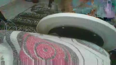 Snapshot of miagomezx chatting on 02/17/26, 04:42 miagomezx online show from 02/17/26, 04:42