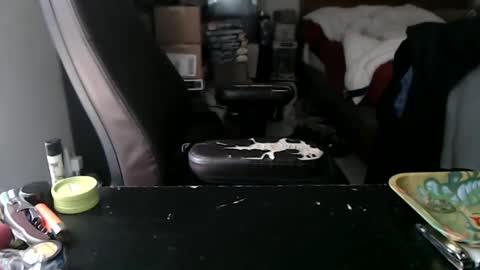 Mark online show from 10/12/25, 04:39