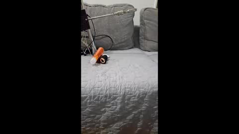 mickal89378933 online show from 05/08/26, 12:43