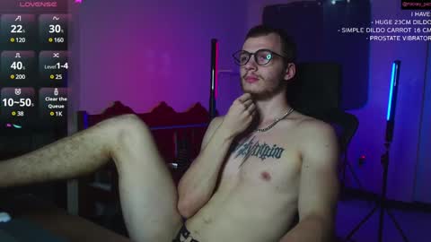 Snapshot of mickey_pict chatting on 12/06/24, 11:33 Mickey online show from 12/06/24, 11:33