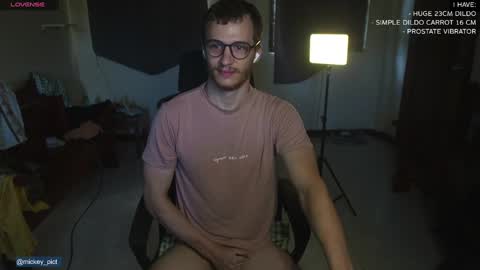 Snapshot of mickey_pict chatting on 12/14/24, 01:50 Mickey online show from 12/14/24, 01:50