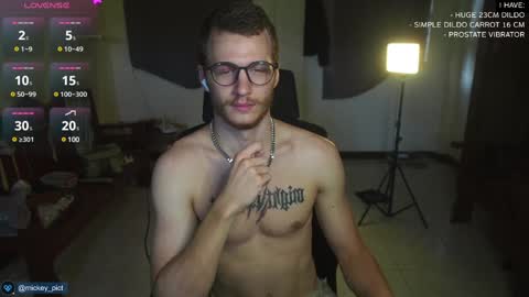 Snapshot of mickey_pict chatting on 12/15/24, 05:02 Mickey online show from 12/15/24, 05:02