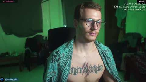 Snapshot of mickey_pict chatting on 12/22/24, 08:05 Mickey online show from 12/22/24, 08:05