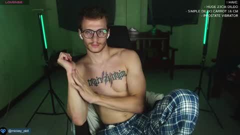 Snapshot of mickey_pict chatting on 12/25/24, 09:34 Mickey online show from 12/25/24, 09:34