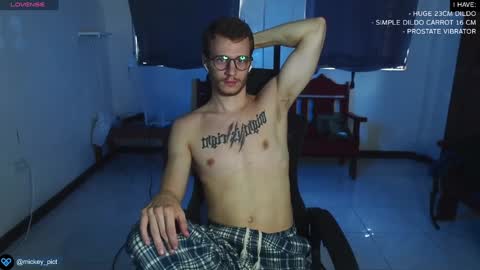 Snapshot of mickey_pict chatting on 12/27/24, 04:15 Mickey online show from 12/27/24, 04:15