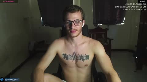 Snapshot of mickey_pict chatting on 12/29/24, 06:03 Mickey online show from 12/29/24, 06:03