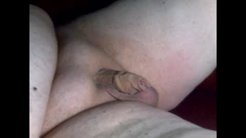 Snapshot of micropimmel chatting on 03/19/26, 08:24 micropimmel online show from 03/19/26, 08:24