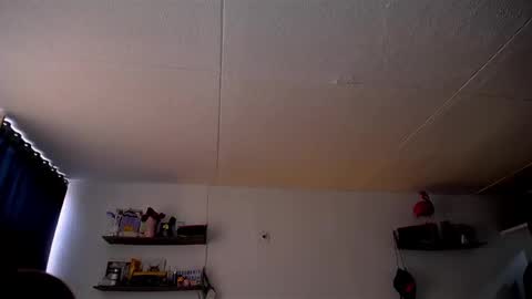 Pola  INDEPENDENT MODEL online show from 03/03/25, 03:42