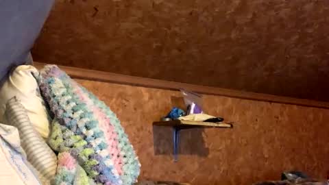 mikeblair5081 online show from 12/18/25, 02:06