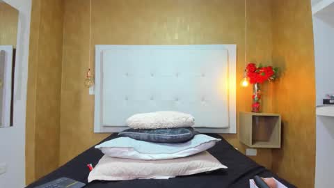          online show from 02/20/26, 08:31