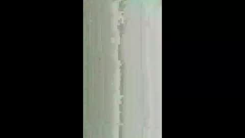 milsy002 online show from 02/03/26, 03:04