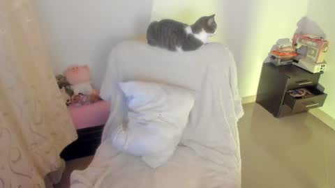 Snapshot of mimi_sa chatting on 07/02/26, 03:23 Mimii online show from 07/02/26, 03:23