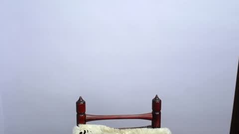 MINATO online show from 12/19/24, 11:25