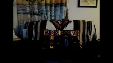 Snapshot of mindphuk chatting on 01/04/25, 04:55 mindphuk online show from 01/04/25, 04:55