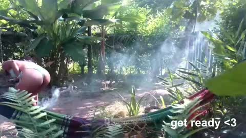 Snapshot of minikunis chatting on 04/18/26, 03:05 Mini Mila Kunis ft Ashton Katchero. Follow me to stay in touch online show from 04/18/26, 03:05