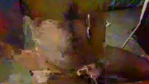 minoas31 online show from 12/09/24, 06:46