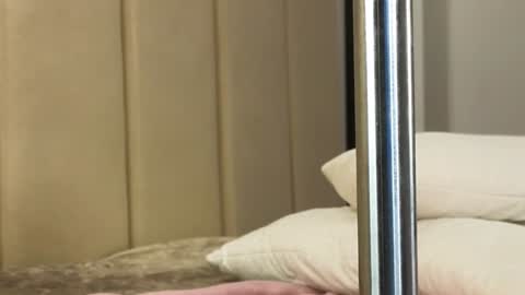 Snapshot of misatosan_ chatting on 01/11/25, 01:11 Annie dont forget to thumbs up me online show from 01/11/25, 01:11