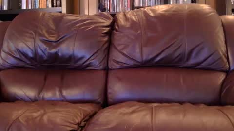 Snapshot of misohoney007 chatting on 04/06/26, 11:33 misohoney007 online show from 04/06/26, 11:33