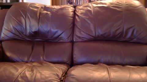 Snapshot of misohoney007 chatting on 04/11/26, 12:42 misohoney007 online show from 04/11/26, 12:42