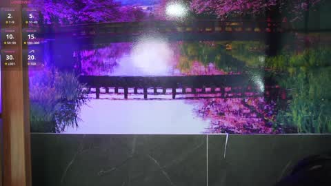 Ally online show from 01/28/25, 12:05